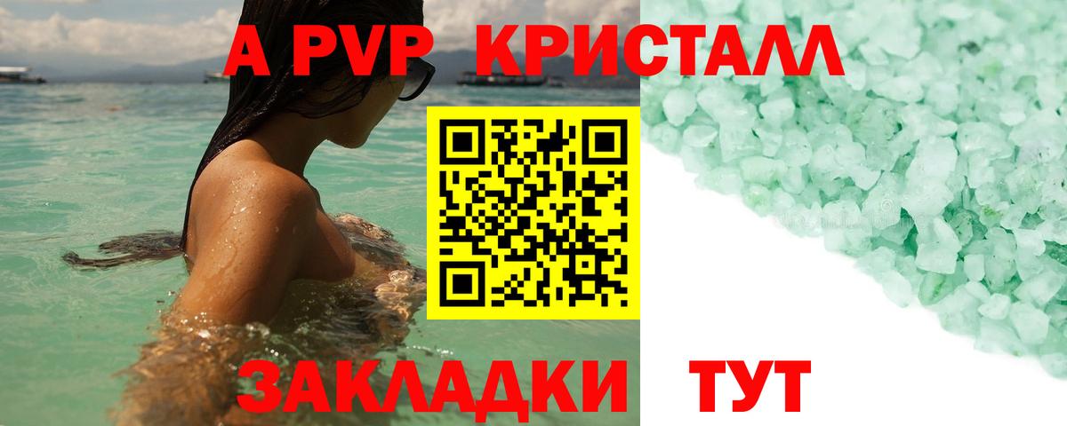 Alfa_PVP СК Кузнецк