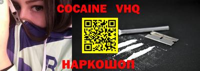 стаф Дубна