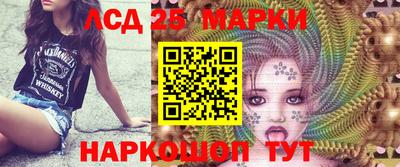 стаф Дубна