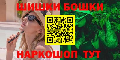 стаф Дубна
