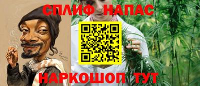 амф Донской