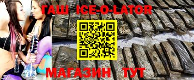 стаф Дубна